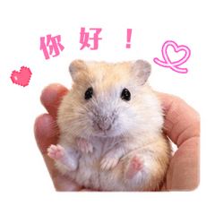 奶黃包可愛貼圖