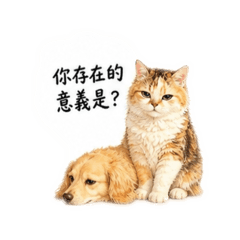 厭世老婆の貓狗大棧
