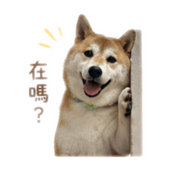 栗子萬用貼圖3