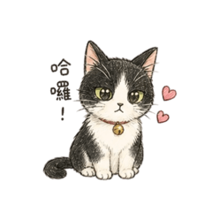 凍的日常♡