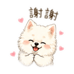 Bokey阿吉寶寶