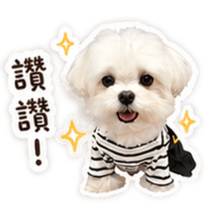 臭Ki仔