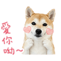 花枝丸♡