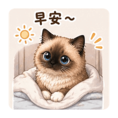派家張三寶的日常2
