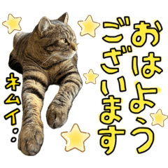 yunoN_20260430232041