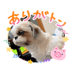 mir_20260430232700