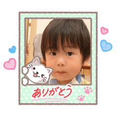 kota stamp_20260430233626