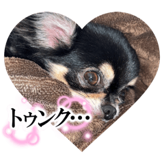 Eight8yua_20260430233110