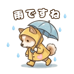 Rainy Days! Rabichin Heart-Forehead