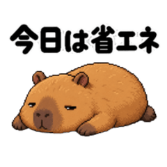 Lazy Chubby Capybara01