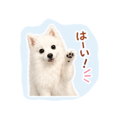 Biiiiii_20260430235004