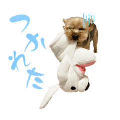 i_20260430235017