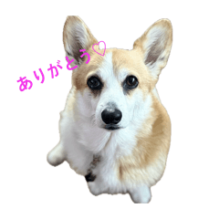 nana_20260501000057