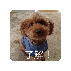 kouta_20260430235210