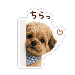 OKAKI_Everyday