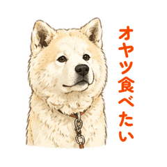Timondy_20260501000156