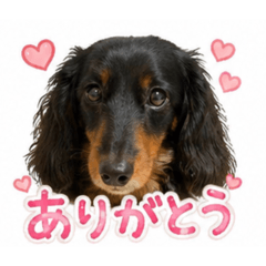 Ruirui_20260501000726
