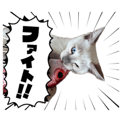 atsuu_S