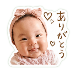 cotto3807_20260501001605