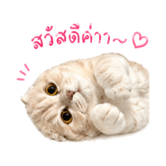 Tawanchu