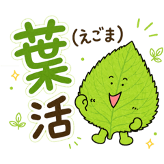 kusobaka Flower_20260501003409