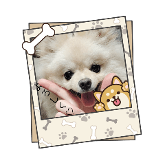 usako_2026050100241