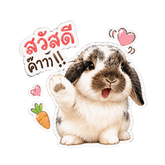 Rabbit Thang - Cute V1