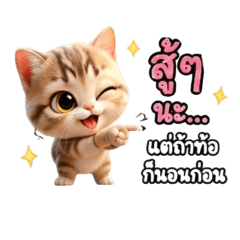 Silly Kitty Fun Pack