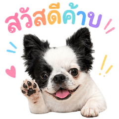 Juji Dog