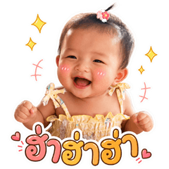 Nong papai v4
