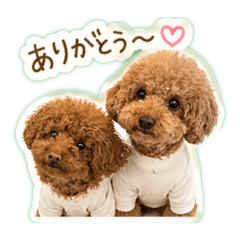 arisa_20260501011108