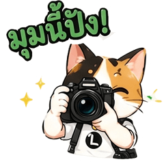 Photographer Meow No1