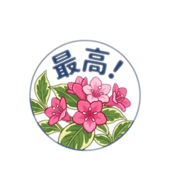 Kumiko_20260501014527
