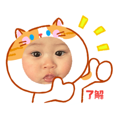 Waka_20260501013027