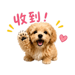 米ㄉㄟˊ事業女強Dog