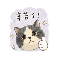 豬咪天天