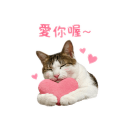 花花の碎碎念