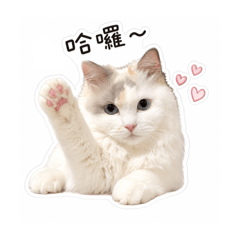 Lala咪