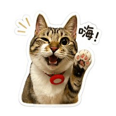 小朋友便當