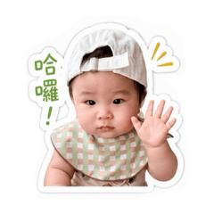 小龍寶貝YA