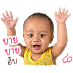 Naja Family_20260428084458