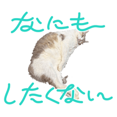 min_20260501022055