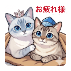 sayuri_20260501022847