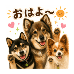 DOGHOUSE_20260501020815