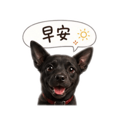 小黑有話說！