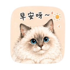 布偶貓Dobby日常用語