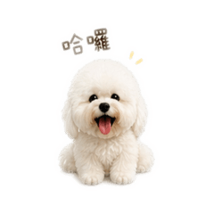 卡比系列32張