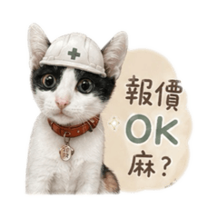 錢錢小店長-工程篇