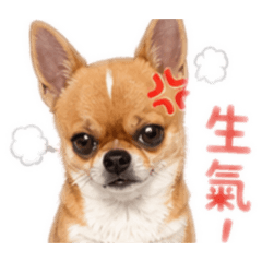 吉利不嘻嘻①