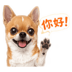 吉利不嘻嘻